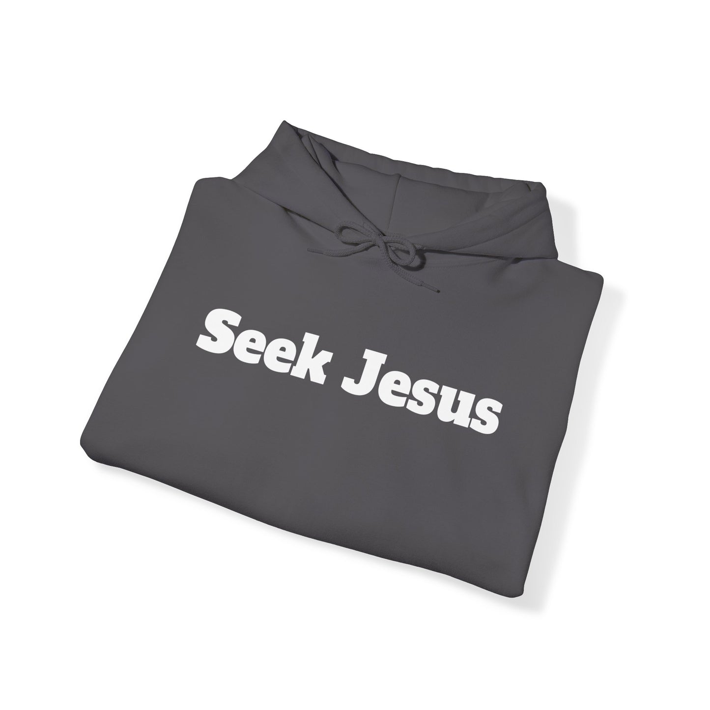 Hoodie. Seek Jesus