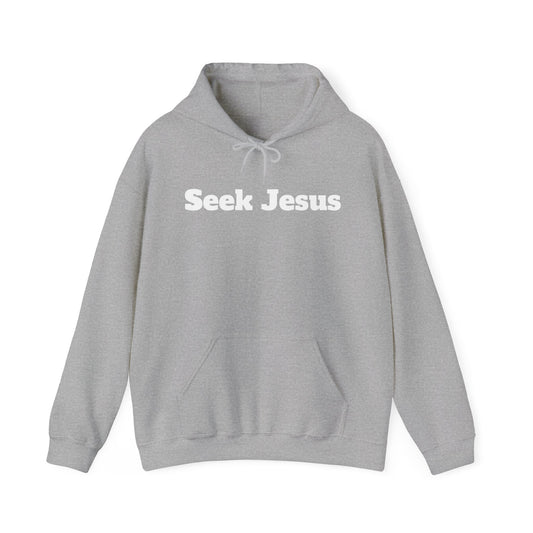 Hoodie. Seek Jesus
